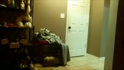 Milf wife first anal webcam