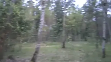 Forest blowjob with cum swallow