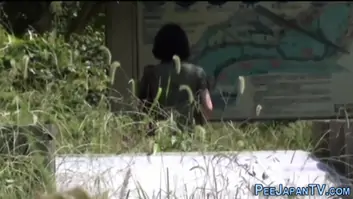 Weird asian pissing park
