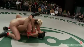Injuries are of the sport the sport is non scripted wrestling can be publicdisgrace