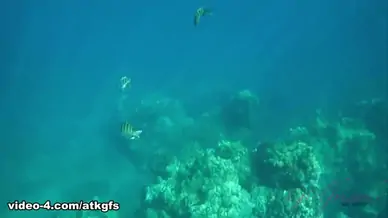 Jill kassidy in you had a long day of cool vacation stuff atkgirlfriends