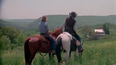 The pussycat ranch