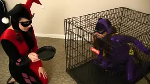 Batgirl impregnation and birth harley quinn