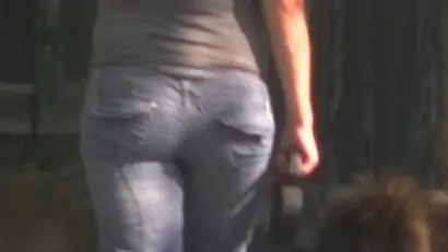 Asses from the city