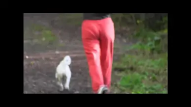 Jogging milf ass